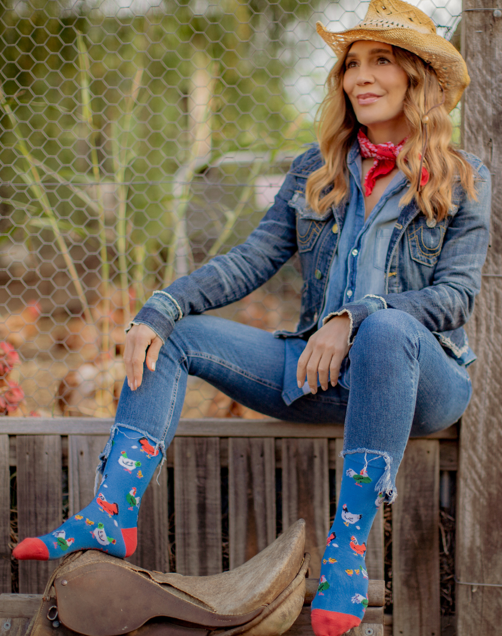 WOMENS MISS CLUCKY BAMBOO SOCK
