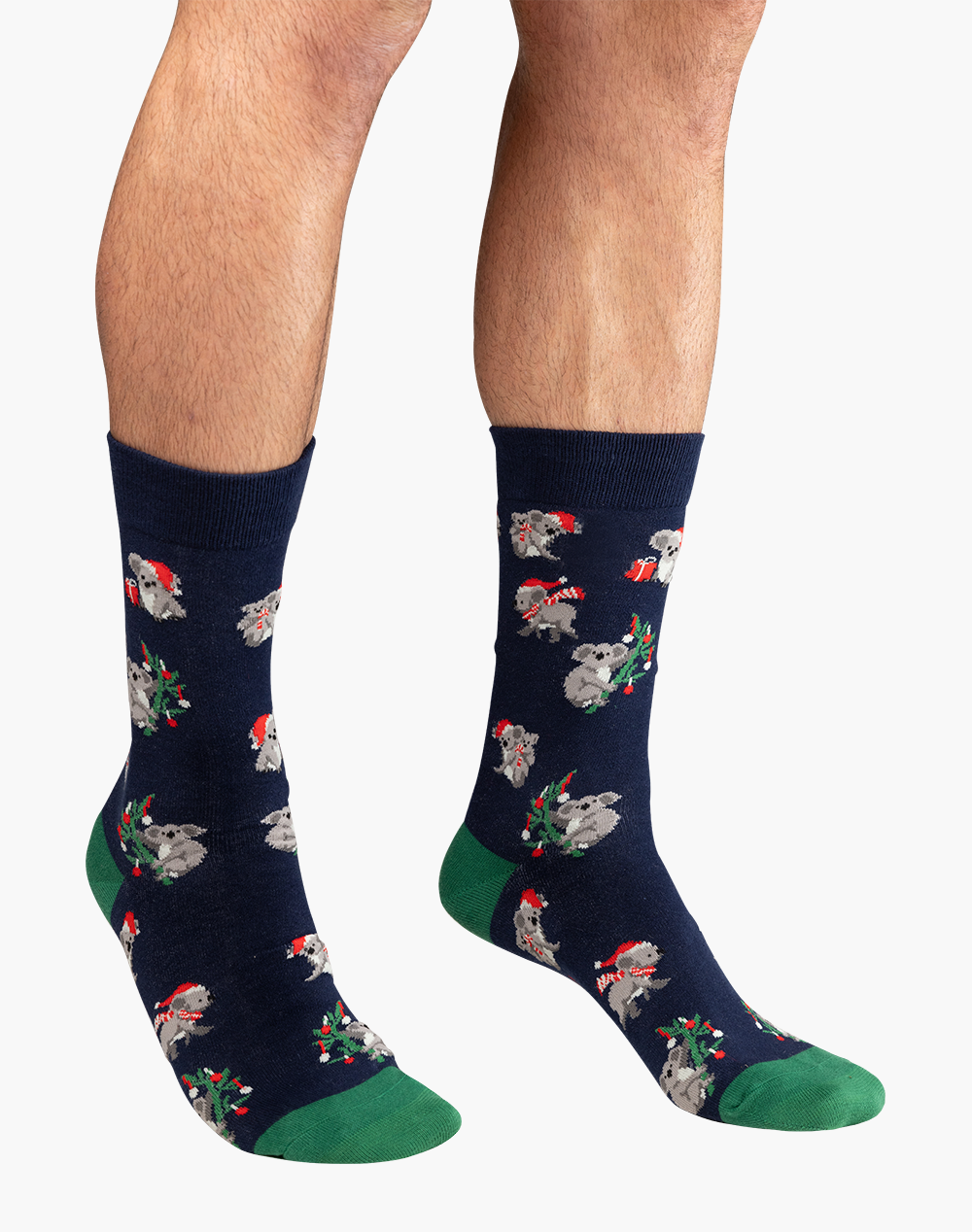 MENS XMAS KOALA BAMBOO SOCK CARD