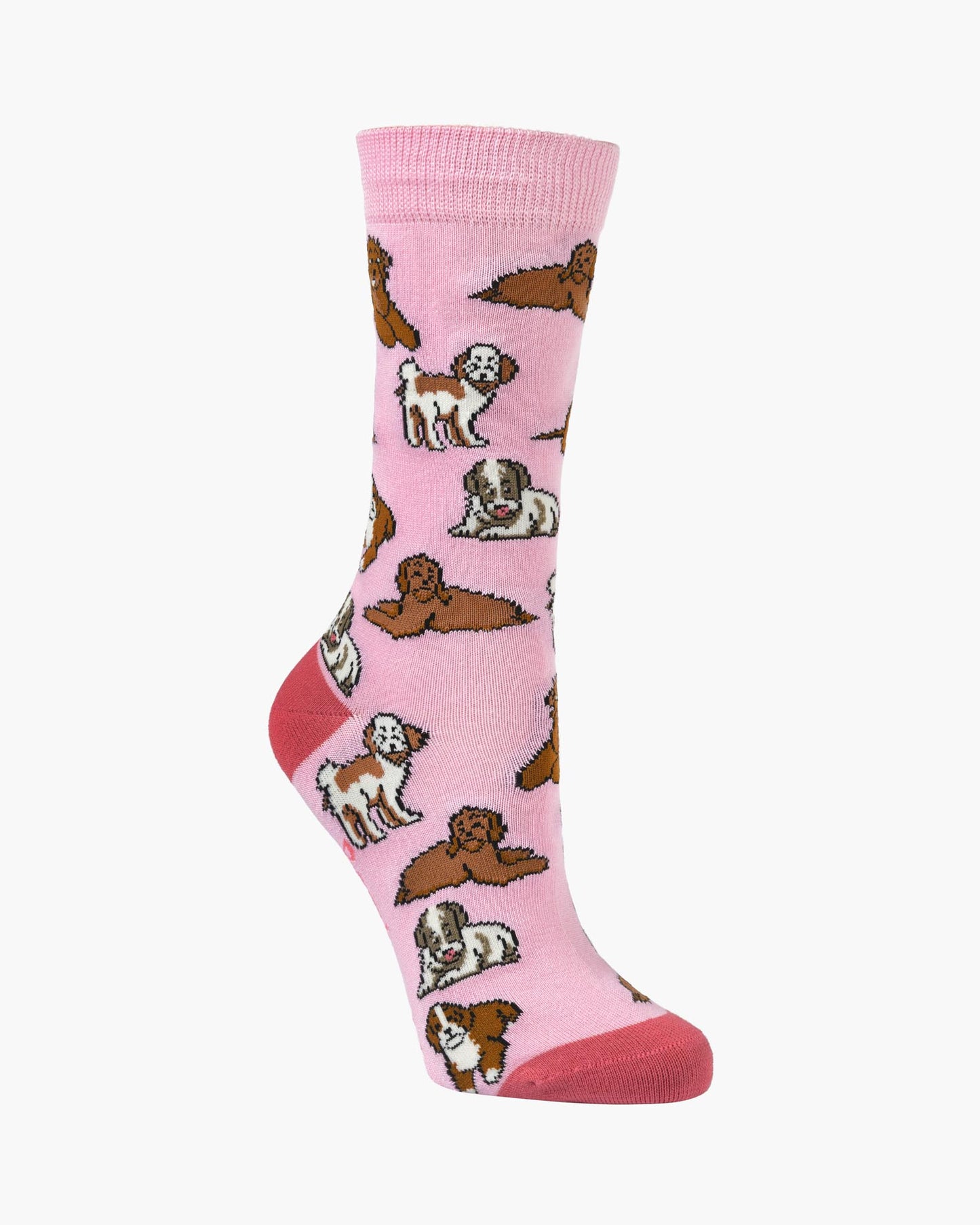 WOMENS CAVOODLES BAMBOO SOCK