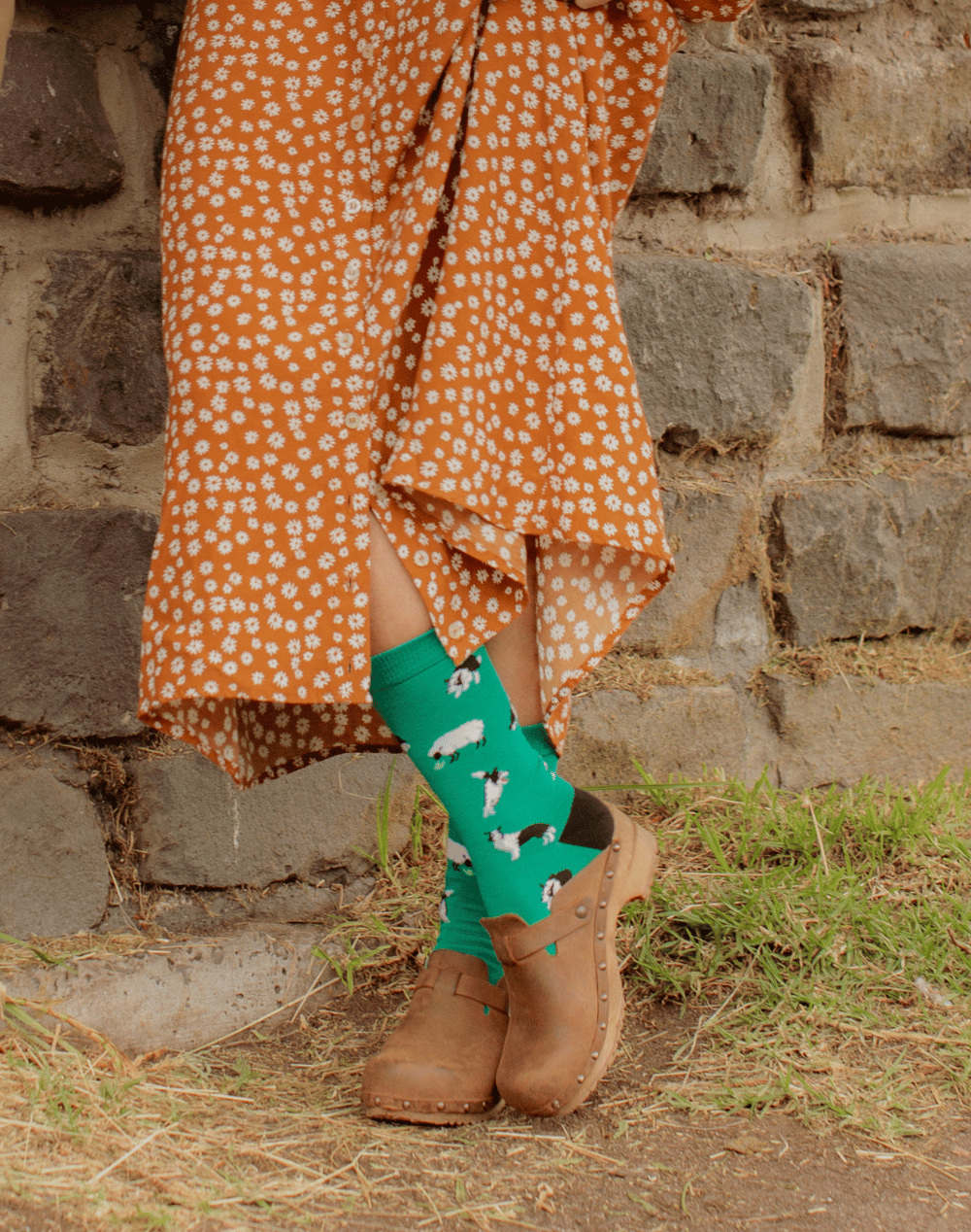 WOMENS BORDER COLLIE BAMBOO SOCK