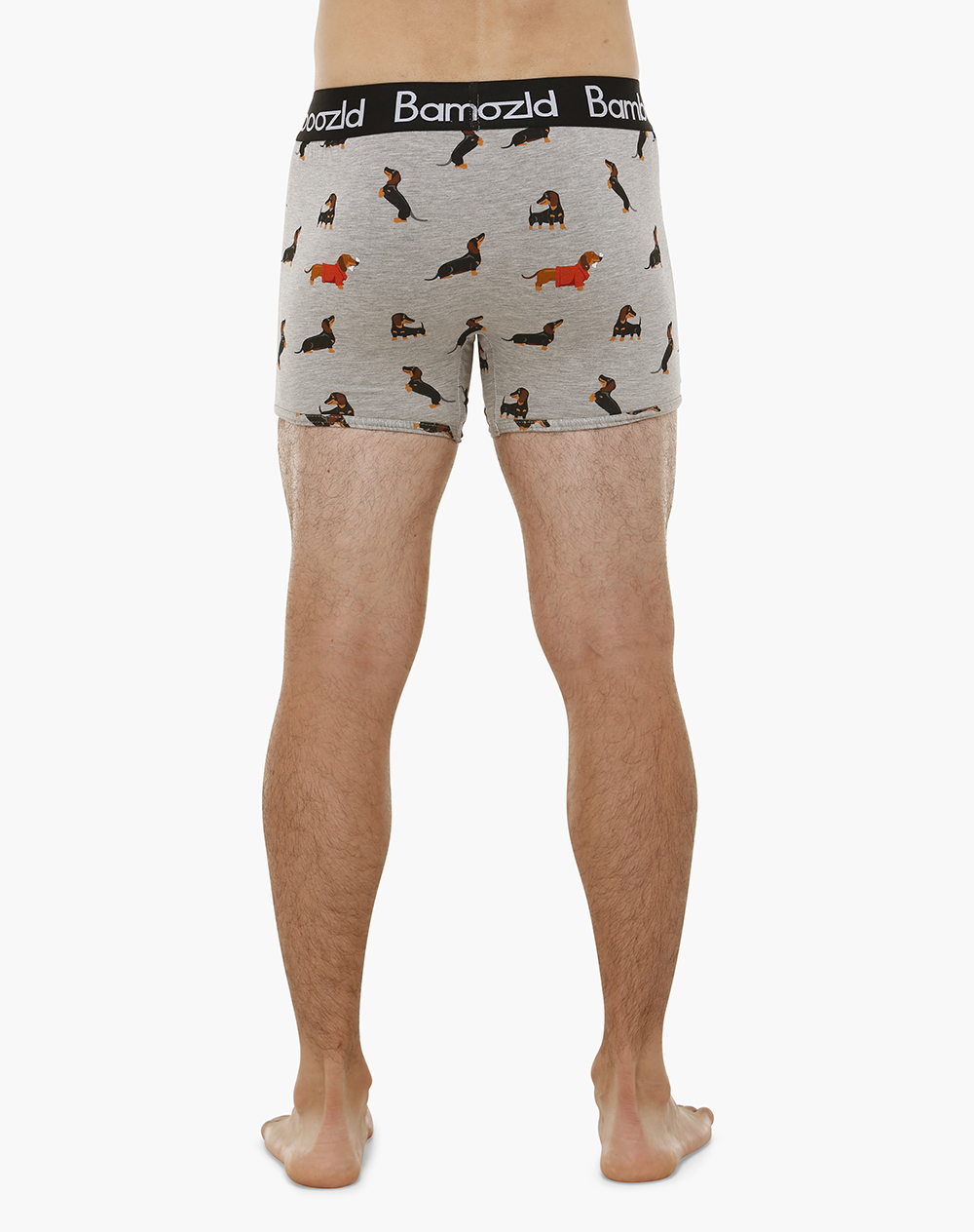 MENS WEINER BAMBOO TRUNK