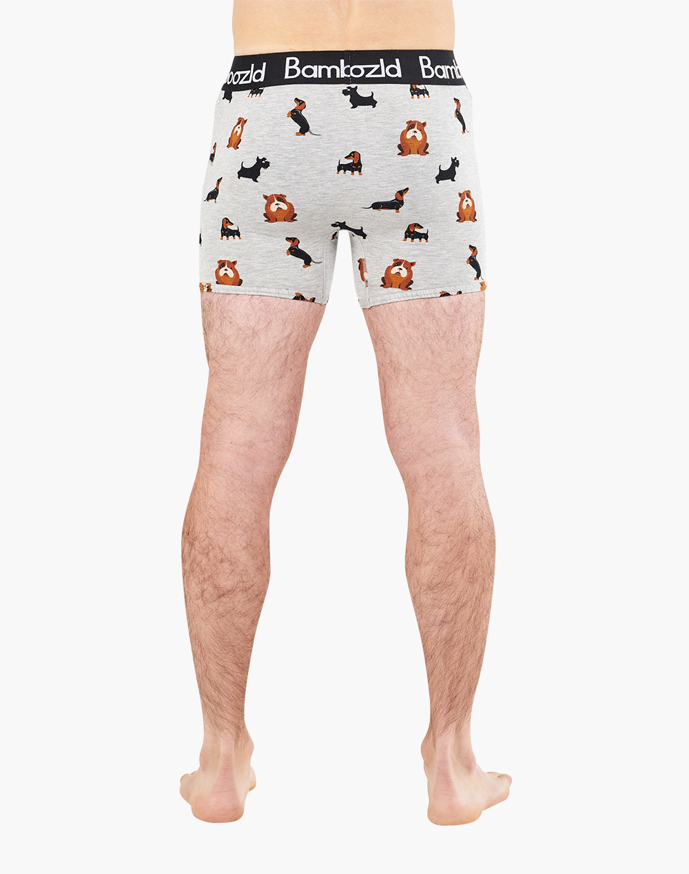 MENS YAPPY DAYS BAMBOO TRUNK