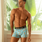 MENS MEERKAT BAMBOO TRUNK