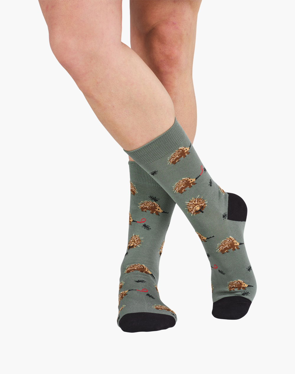 MENS ECHIDNA BAMBOO SOCK