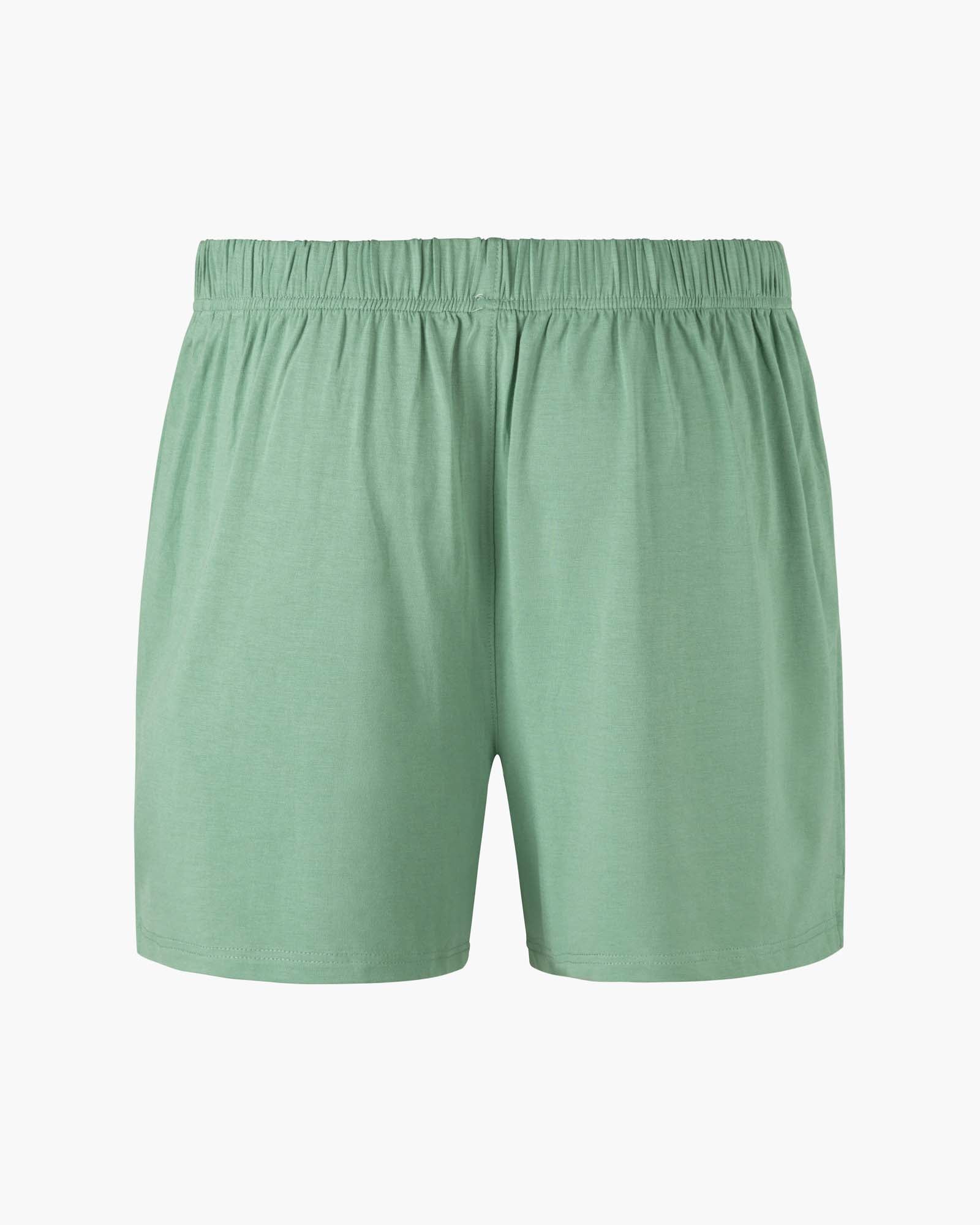 sage jersey boxer shorts with a button