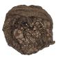 MOCHA