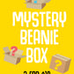 Mystery Beanie Box