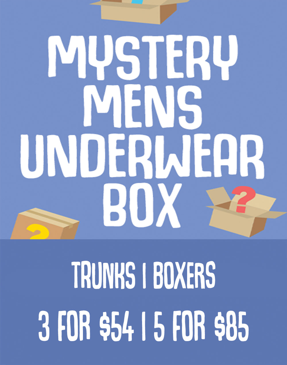 Mystery Mens Underwear Box
