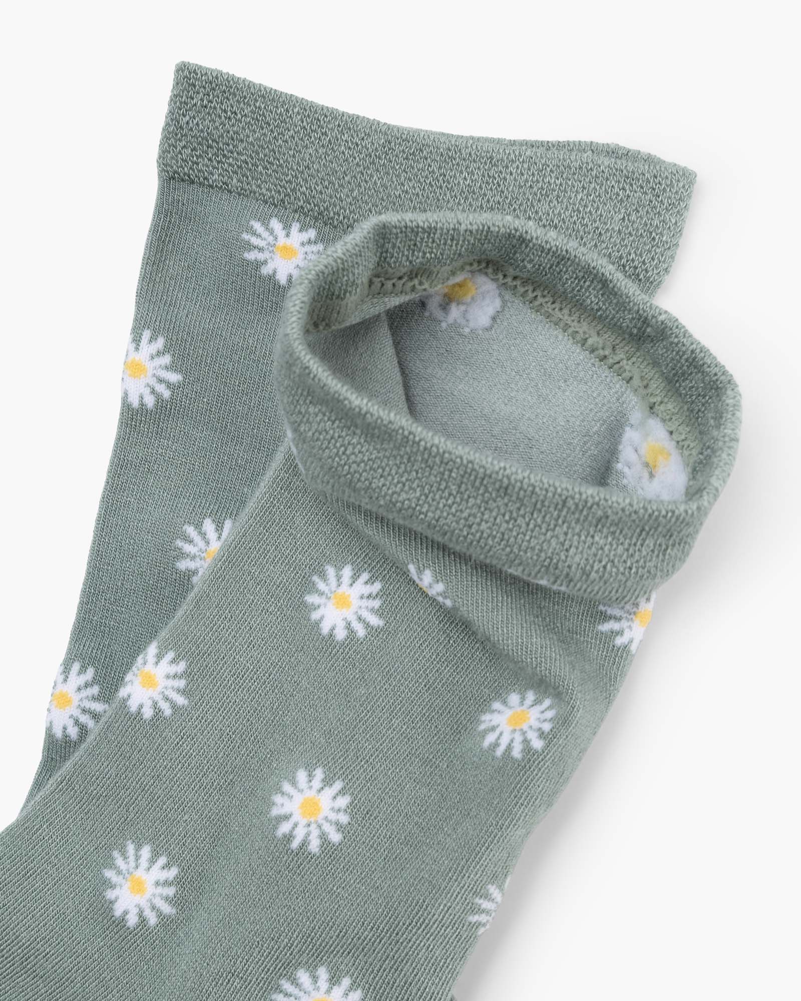 DAISY