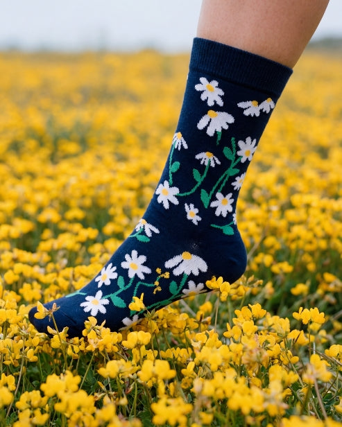 daisies navy sock